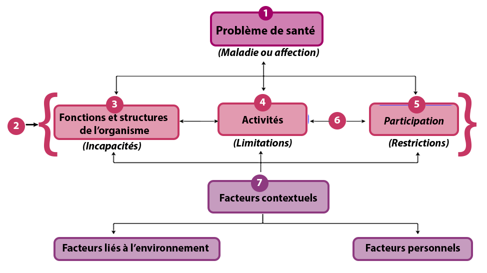La Classification internationale du fonctionnement, du handicap et de la santé (CIF). Lire la description ci-dessous.